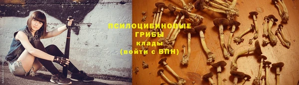 мяу мяу мука Баксан