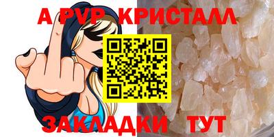 шишки Дубна