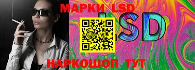 гашик Донской