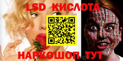 шишки Дубна