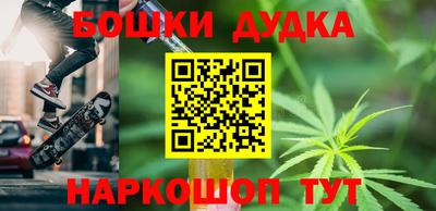шишки Дубна