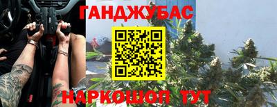 гашик Донской