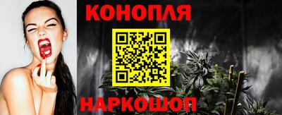 шишки Дубна