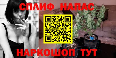 гашик Донской