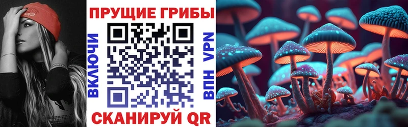 Галлюциногенные грибы Psilocybe Кубинка