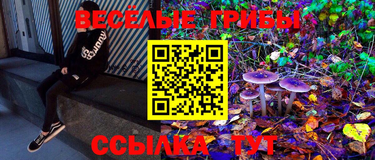 Галлюциногенные грибы GOLDEN TEACHER  как найти закладки  Кубинка  Вход с VPN  Псилоцибиновые грибы Psilocybine cubensis 